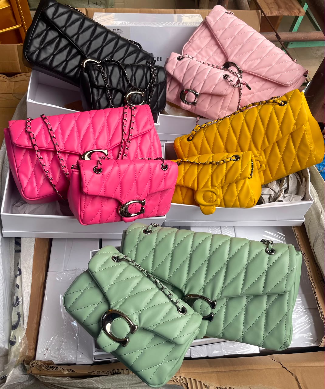 2in1 coach bag