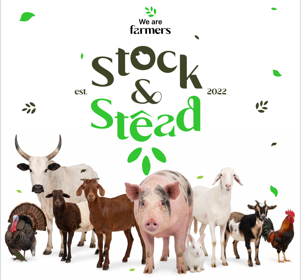 STOCKNSTEAD FARMS